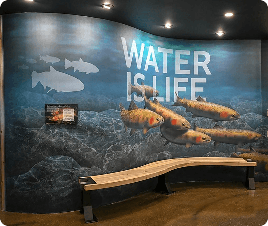 MURALS DESIGN
